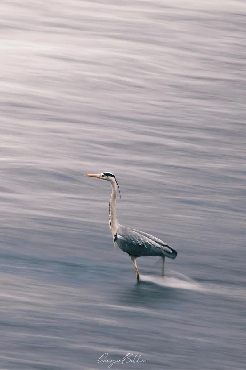 yitong(互fo) tweet media