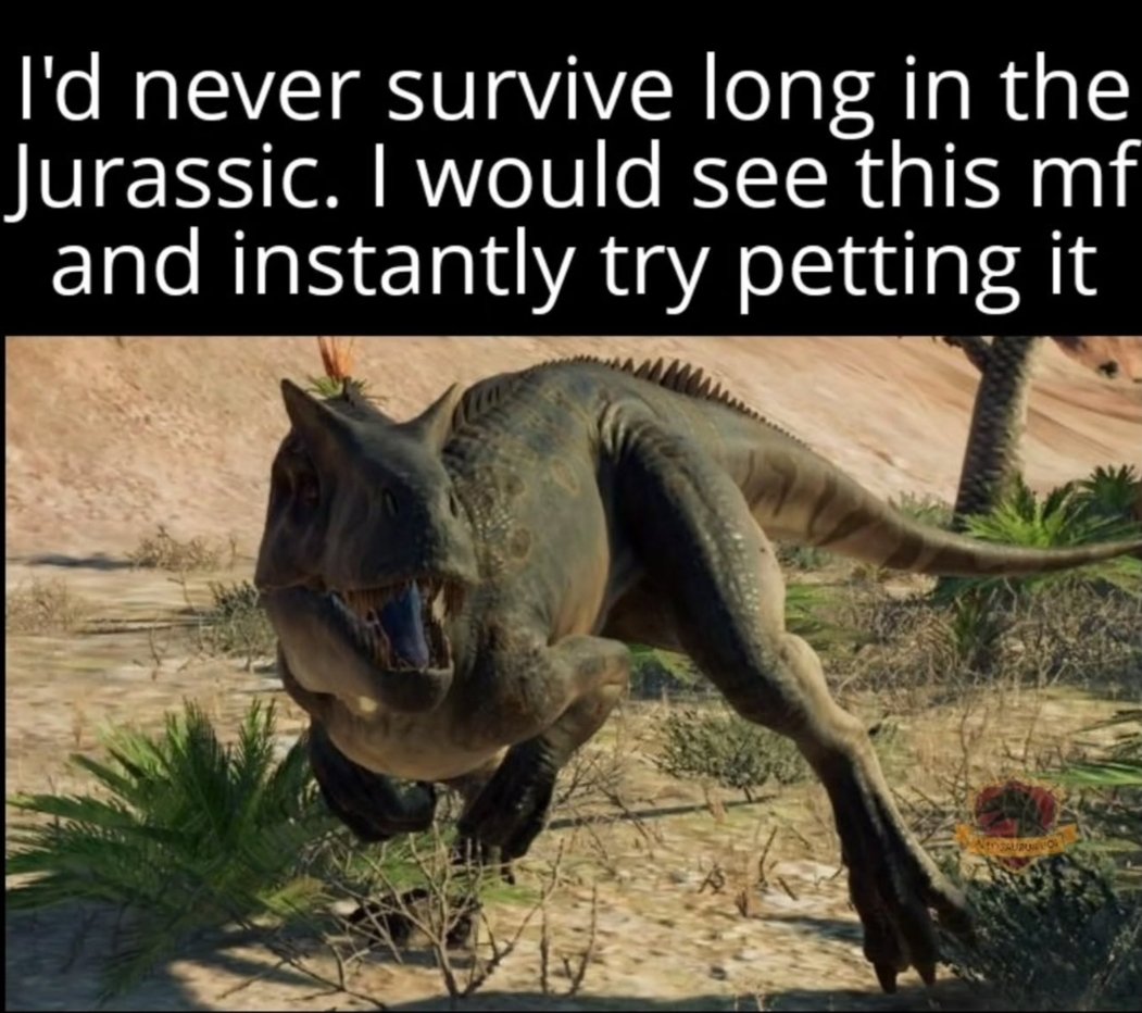 Coach Josh tweet media