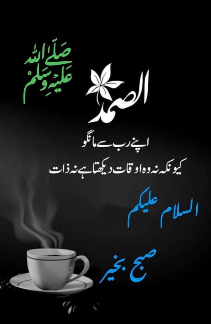 امان اللہAman ullah tweet media