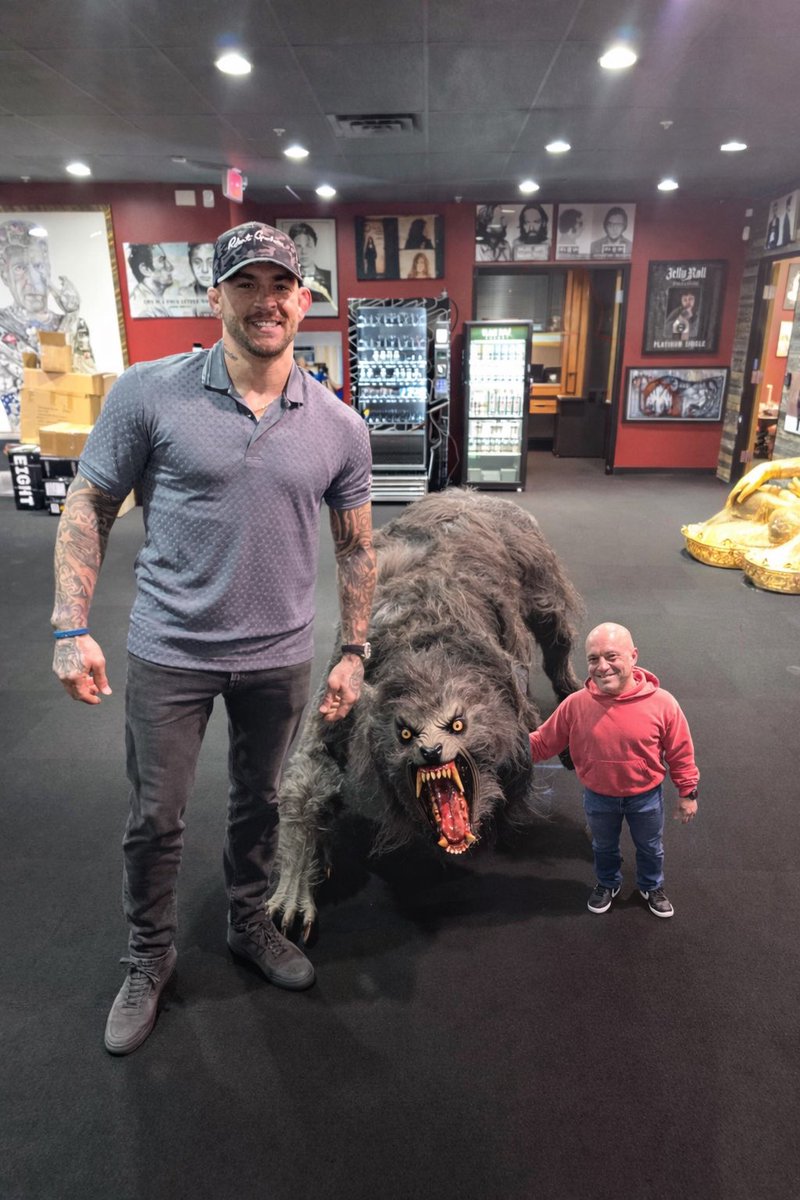 CombatCravings tweet media