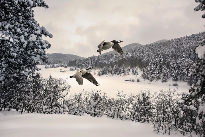 John  Bartelt tweet media