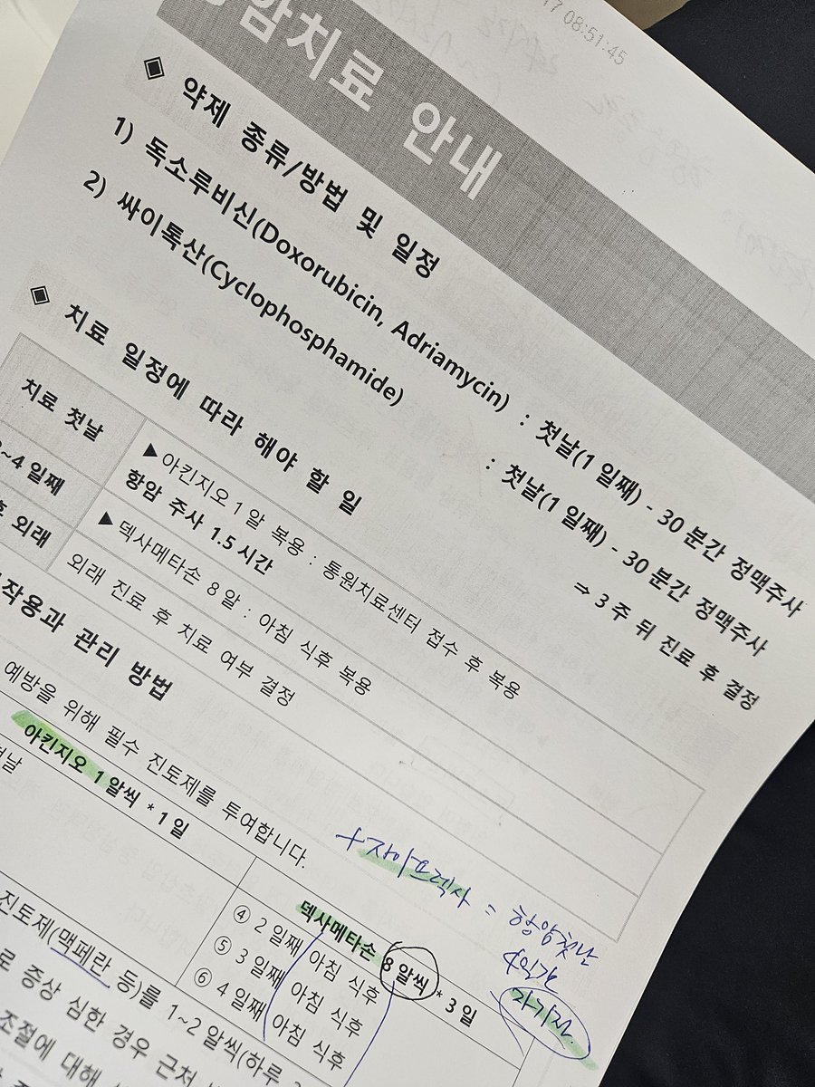 도도핑💗 tweet media