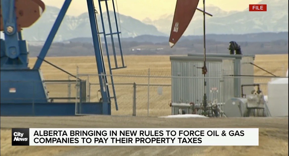 Sean Amato tweet media