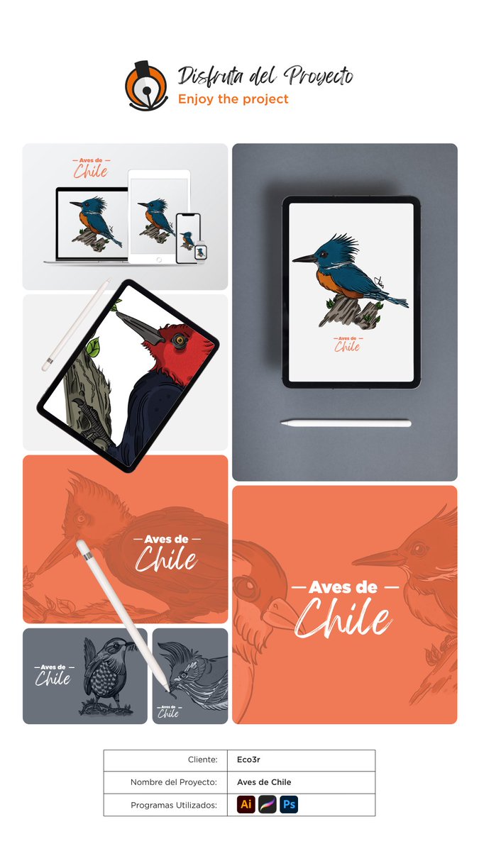 Julius_Solis's tweet photo. Algunos proyectos que he realizado en este tiempo 🎉🍀 #diseñador #chile #viral #tendencia https://t.co/TGM6KnVDIK