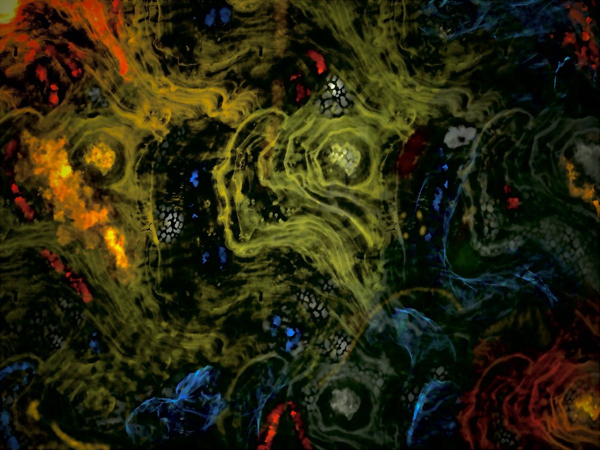 Stacey 🫧 tweet media