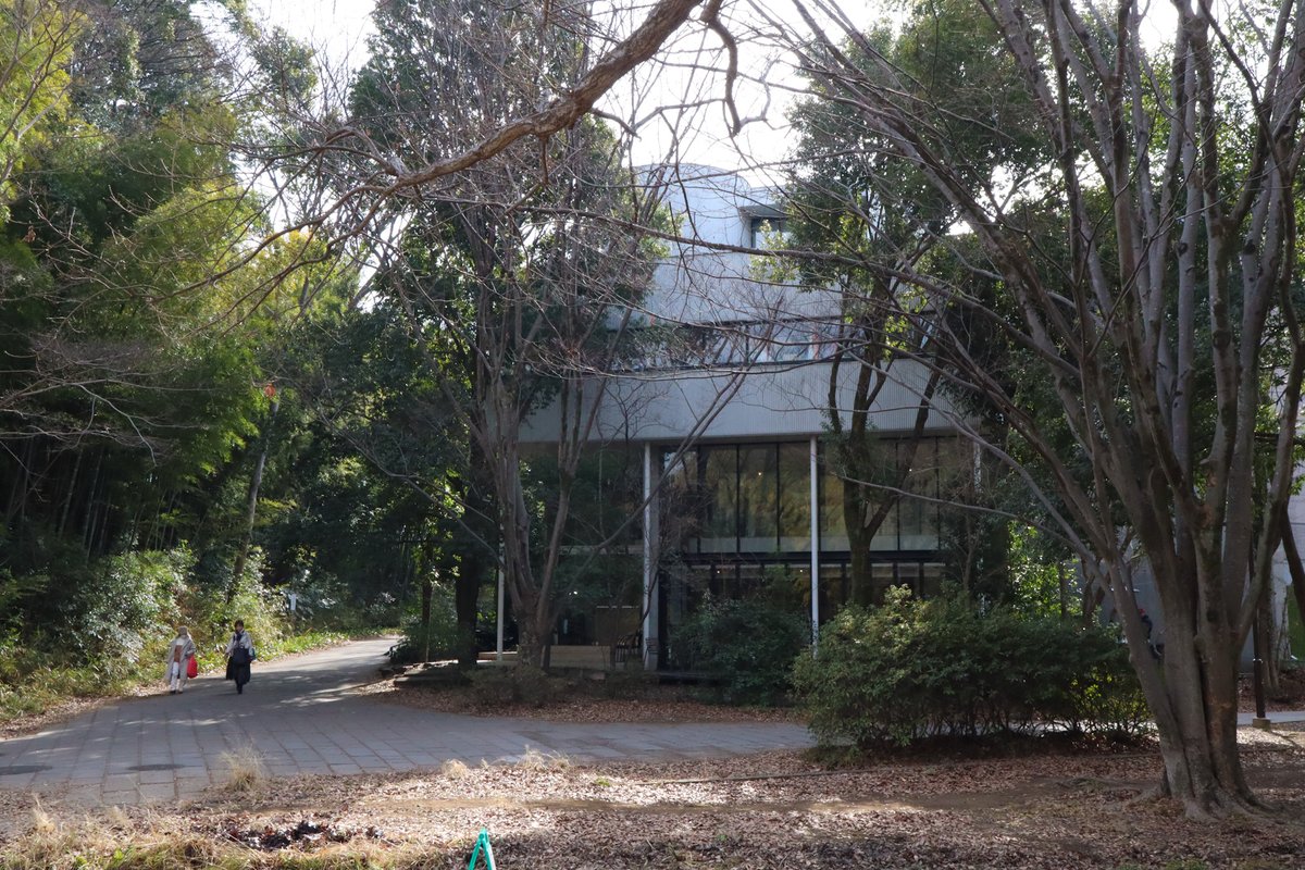 弓橋 紗耶 / インタビューライター tweet media