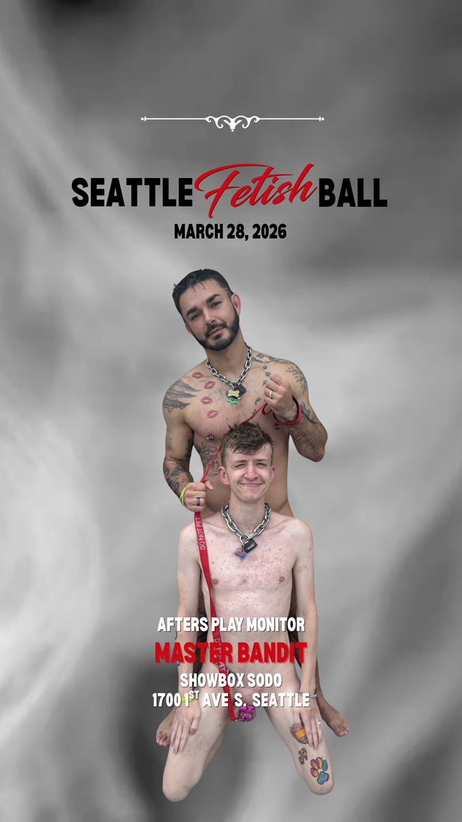 Master Bandit 🐾 tweet media