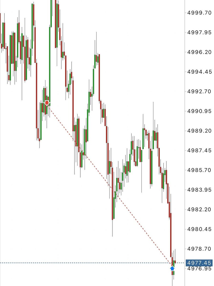 Darius Kelemen tweet media
