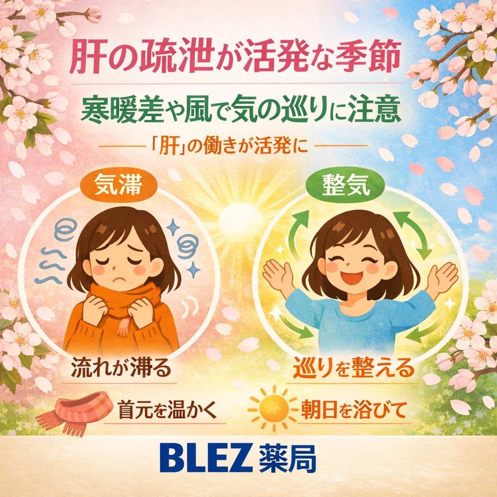 BLEZ_pharmacy's tweet photo. おはようございます！

春は「肝」の疏泄が活発になる季節。疏泄とは、気の巡りを整える働きのこと。寒暖差や風で乱れやすいので、首元を冷やさず朝日を浴びて気を整えましょう。

#BLEZ #asakusa #japan #pharmacy #浅草 #薬局
#春　#疏泄　#肝　#気滞 https://t.co/PjcBc4eYK6