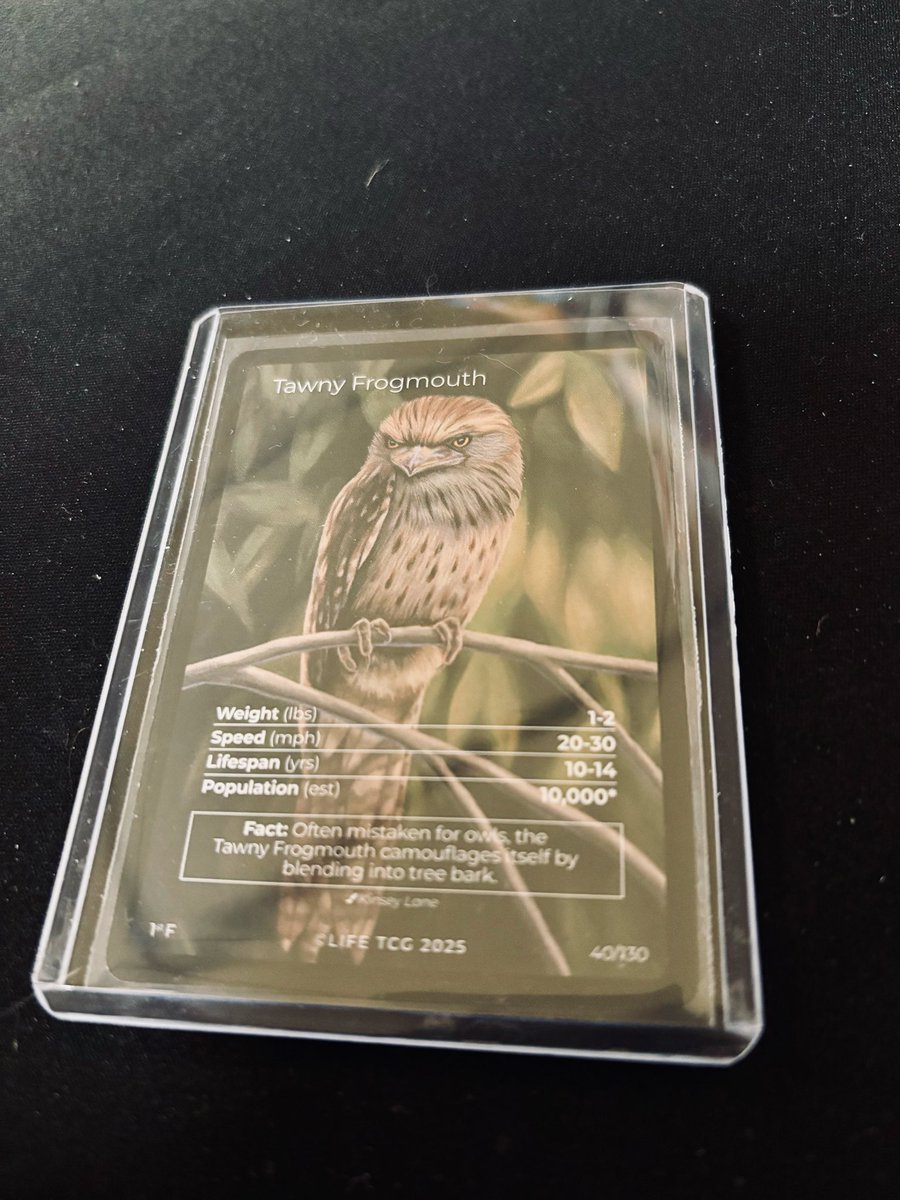 SBros Cards tweet media