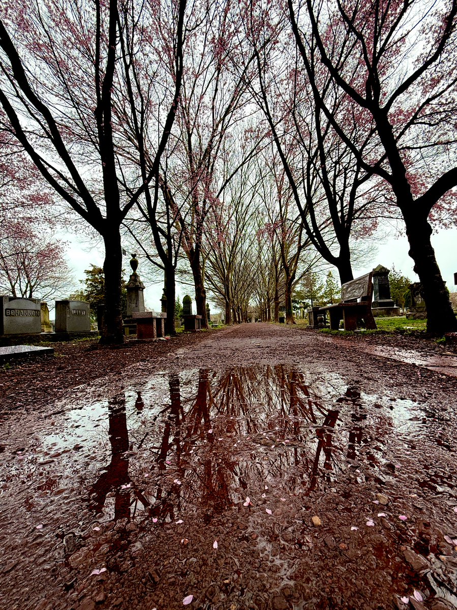 Congressional Cemetery Monday  <a href="/capitalweather/">Capital Weather Gang</a>