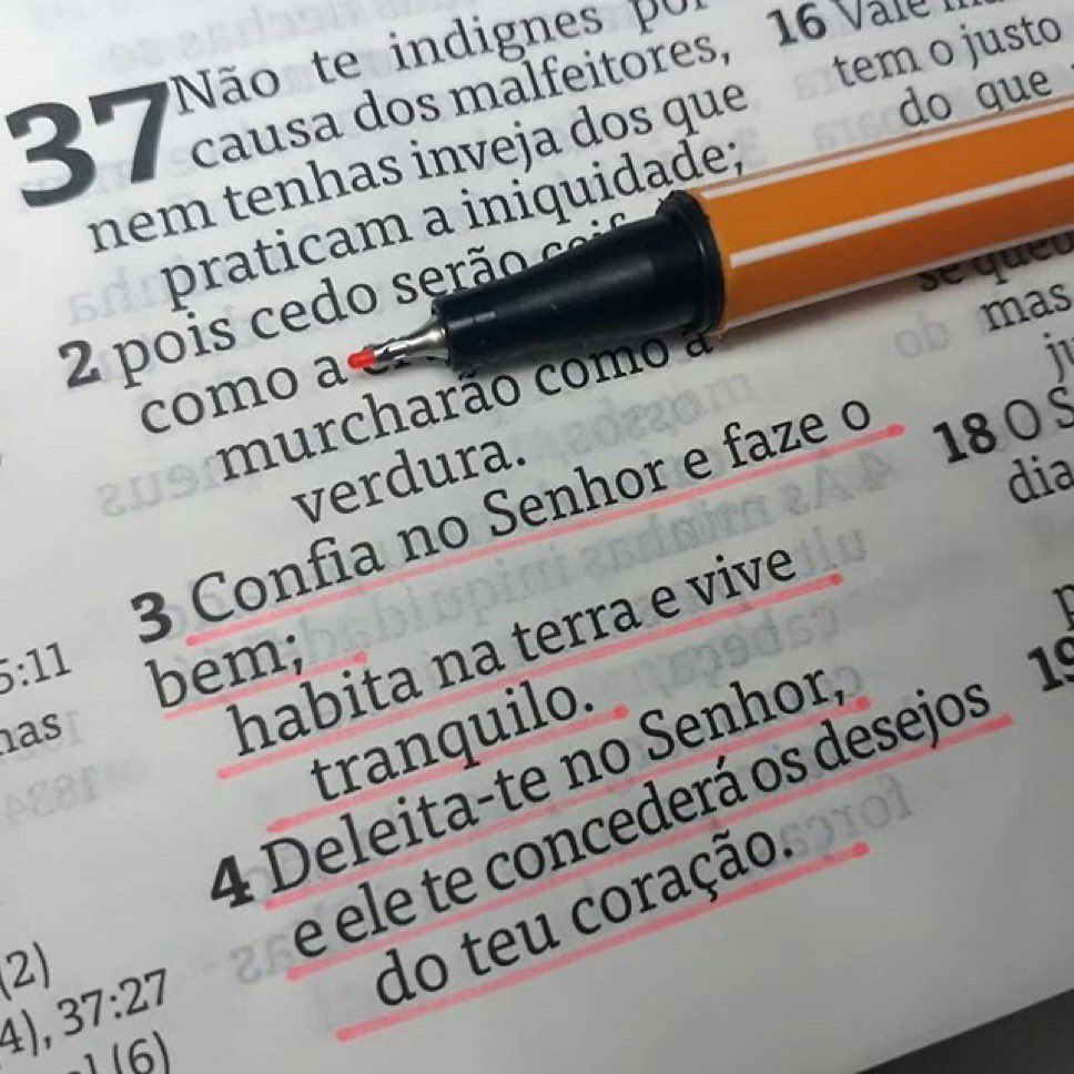 Quem é Satoshi (@quem_e_satoshi) on Twitter photo 