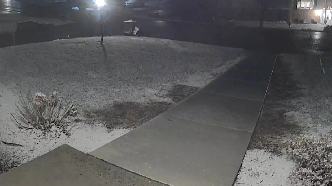 Howard Bernstein tweet media