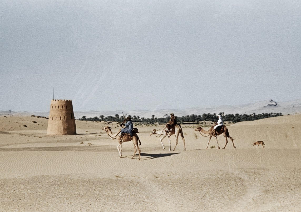 حمد المرر tweet media