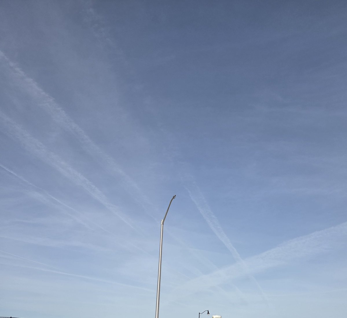 Owen Shroyer tweet media