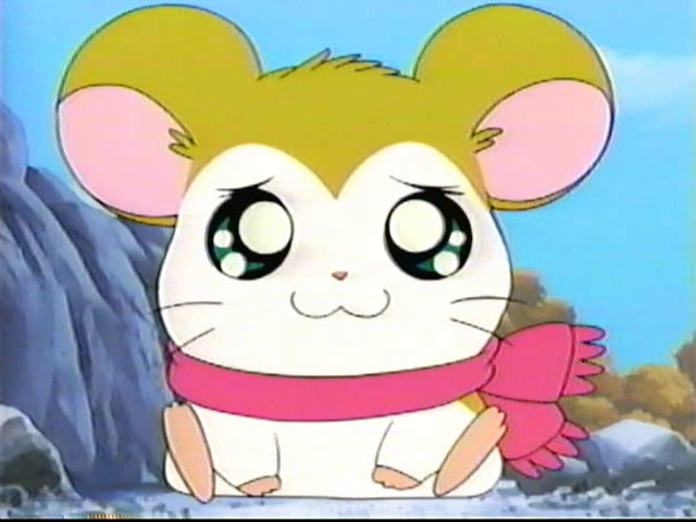 Hamtaro・ハム太郎・Unofficial・25th Anniversary (@nise_hamtaro) on Twitter photo 