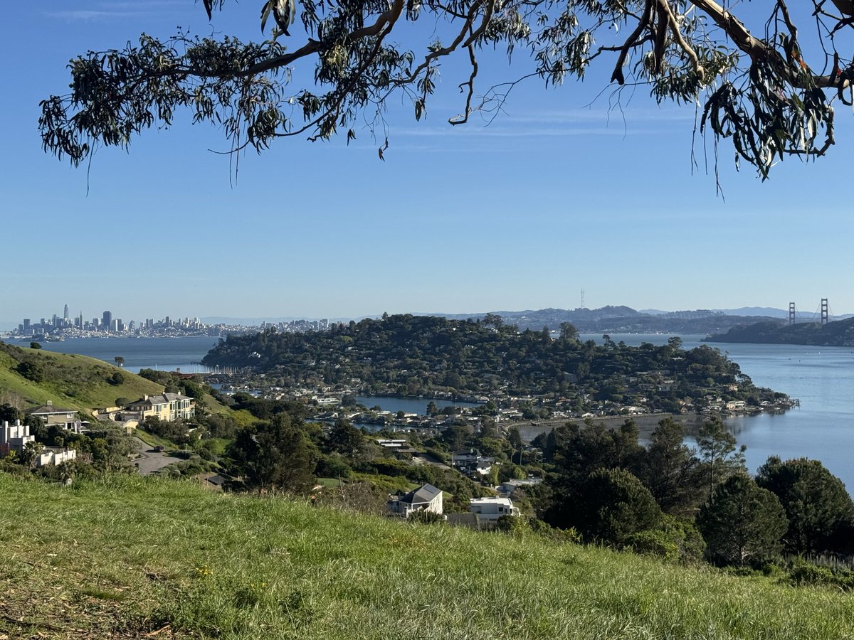 Taylor Lorenz tweet media