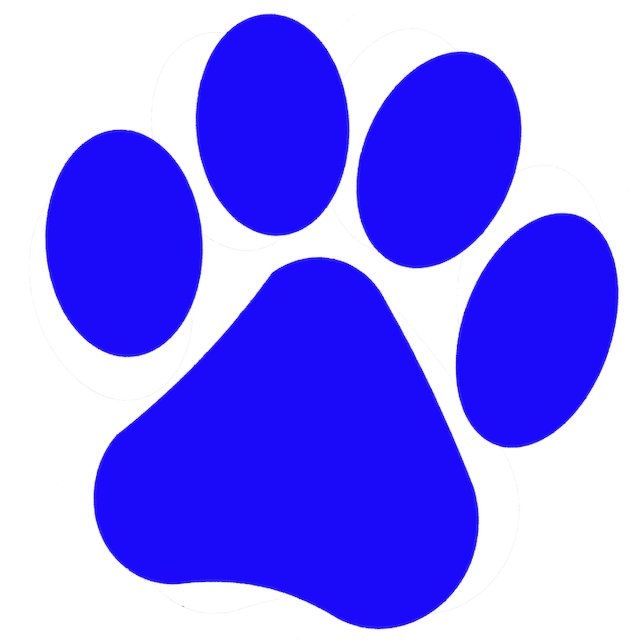 Alejandro Vergara tweet media