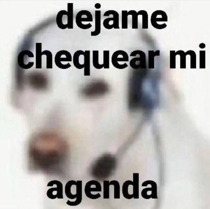 MundoDeBigotes's tweet photo. Yo viendo si tengo energía social esta semana https://t.co/qeAGwTChg3