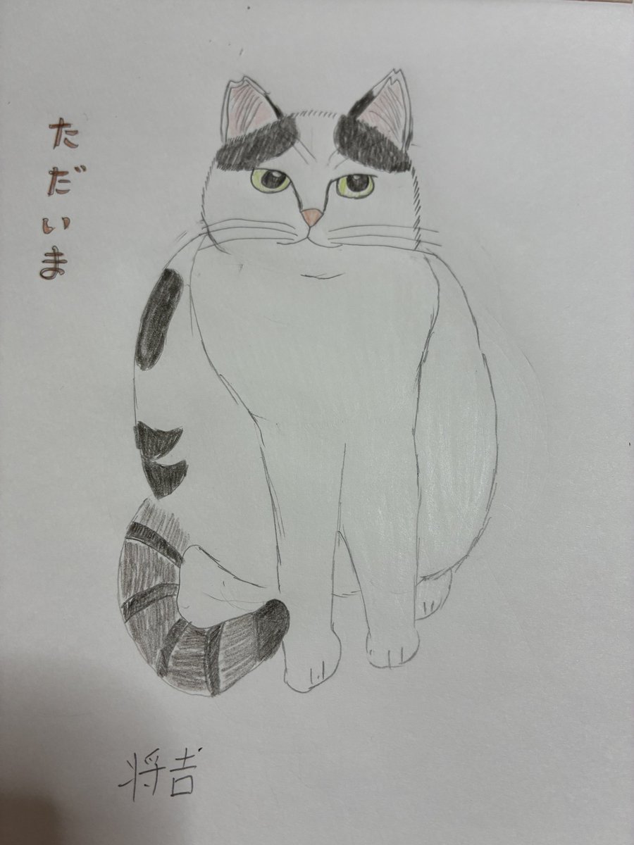 🐈🐾エルサ🐕🐾 tweet media