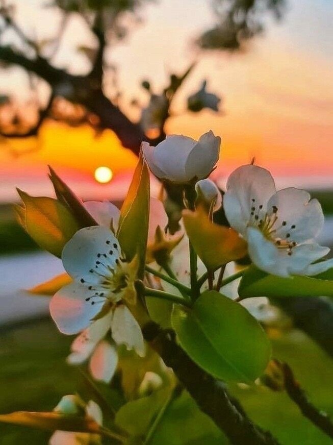 ANyadeva's tweet photo. « Puisqu'on ne peut être universel et savoir tout ce qu'on peut savoir sur tout, il faut savoir un peu de tout. Car il est bien plus beau de savoir quelque chose de tout que de savoir tout d'une chose; cette universalité est la plus belle. »

Blaise Pascal https://t.co/c1AT3b59uF