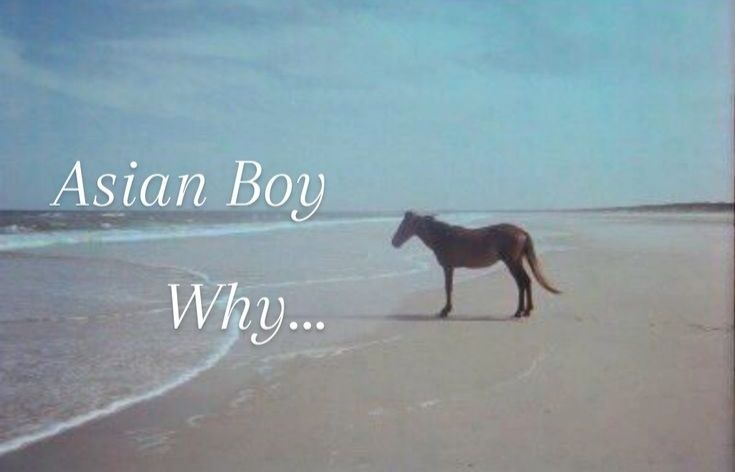 freaky mitski fan📸⚡️ tweet media