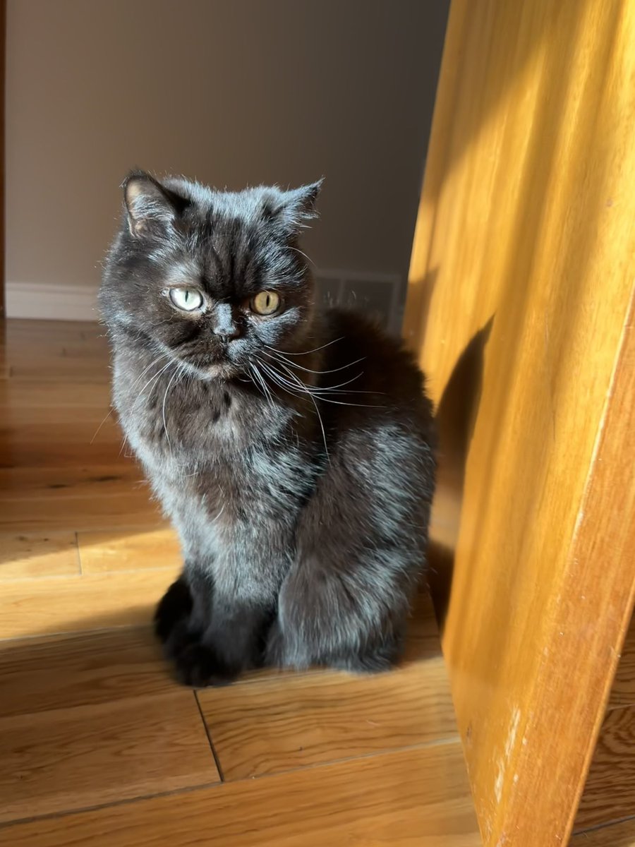 Beans 🛡️ tweet media