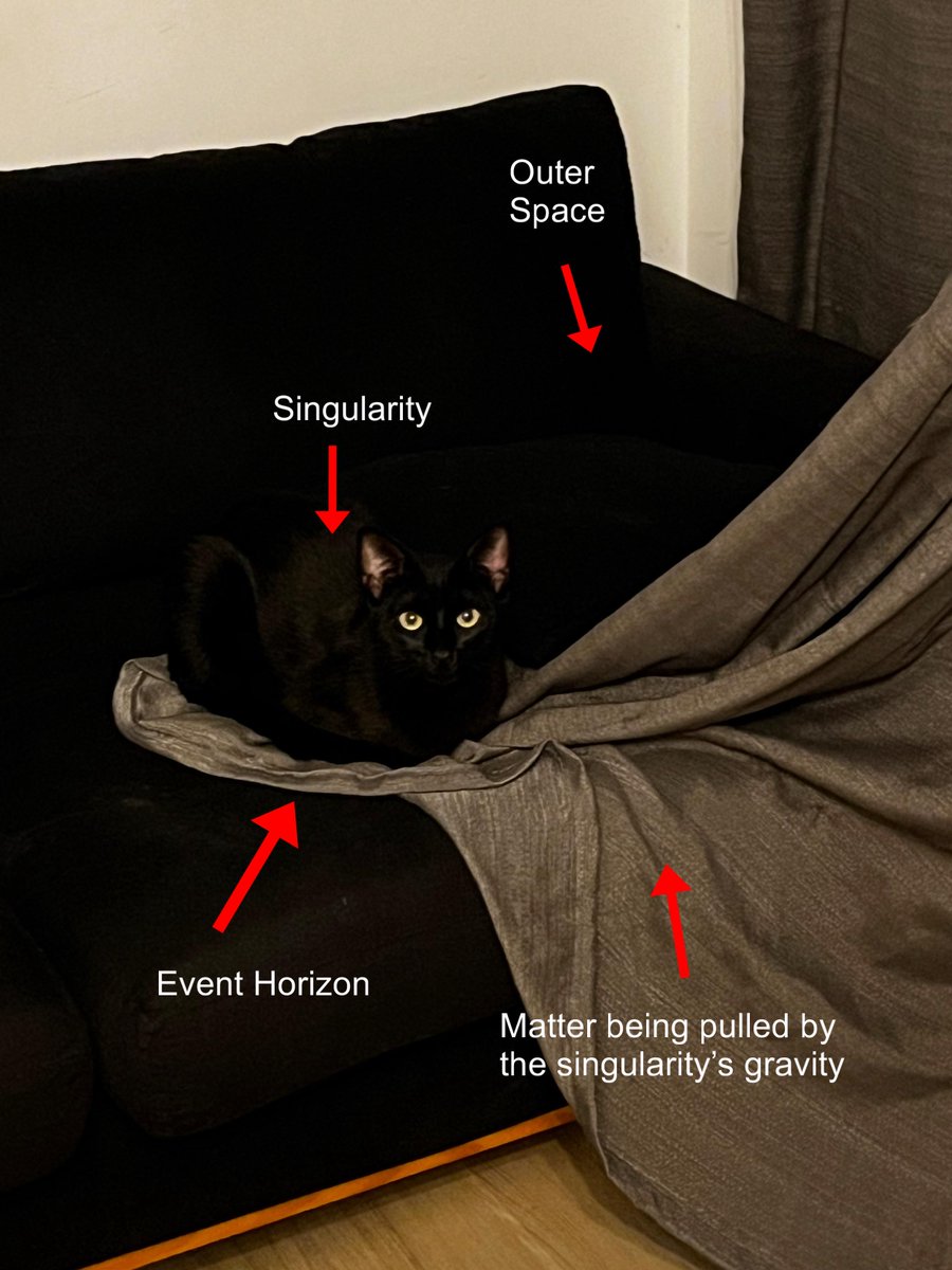 Physics Memes tweet media