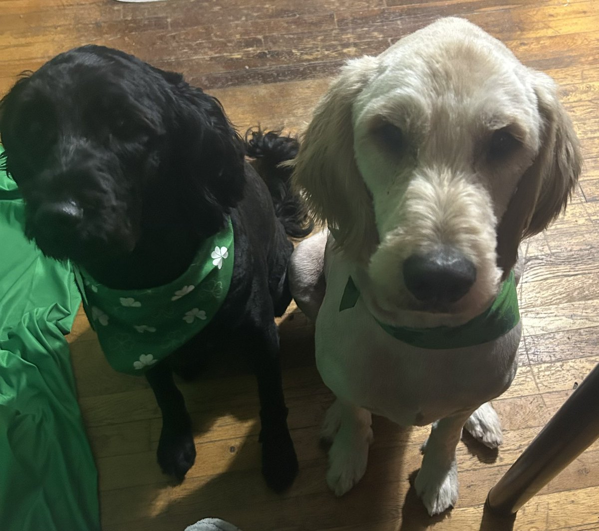 ᴷᶜᴾ YoJonB tweet media