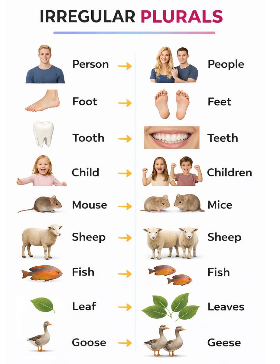 English Knowledge tweet media