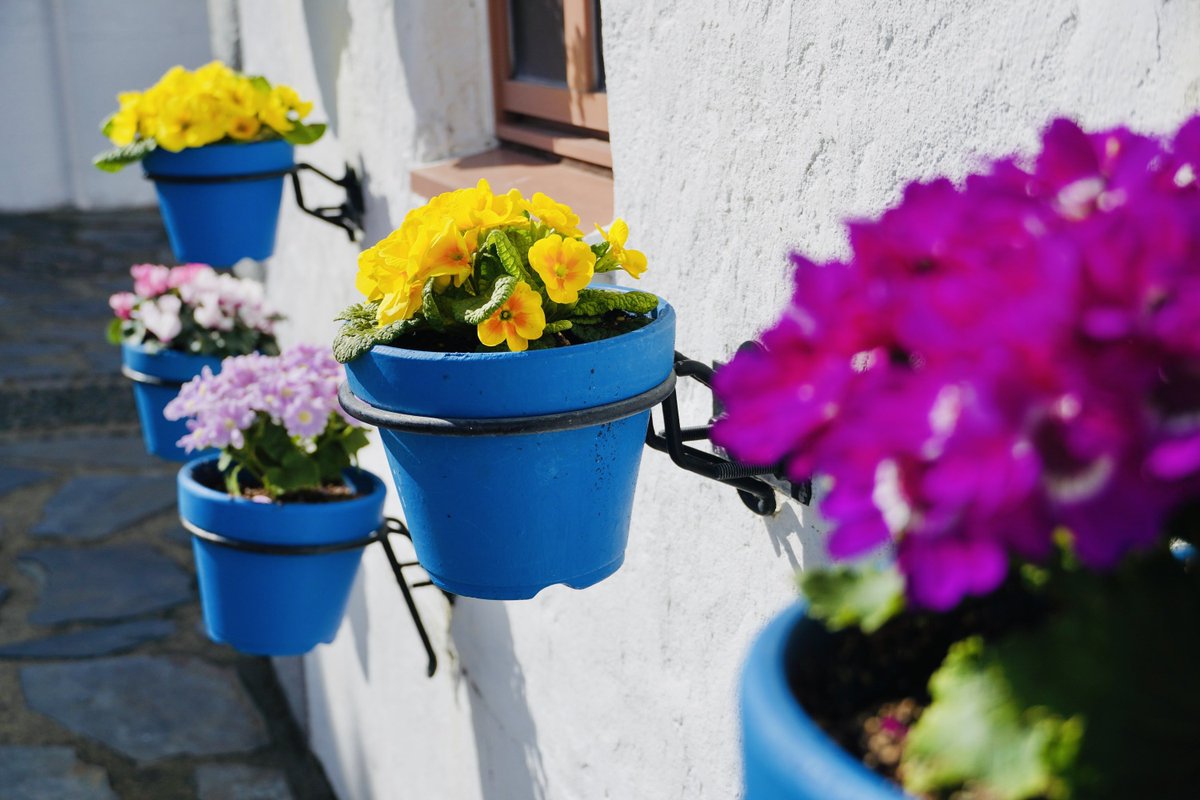 志摩スペイン村【公式】 tweet media