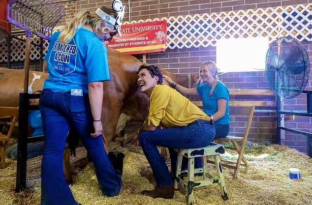 Kari Lake tweet media