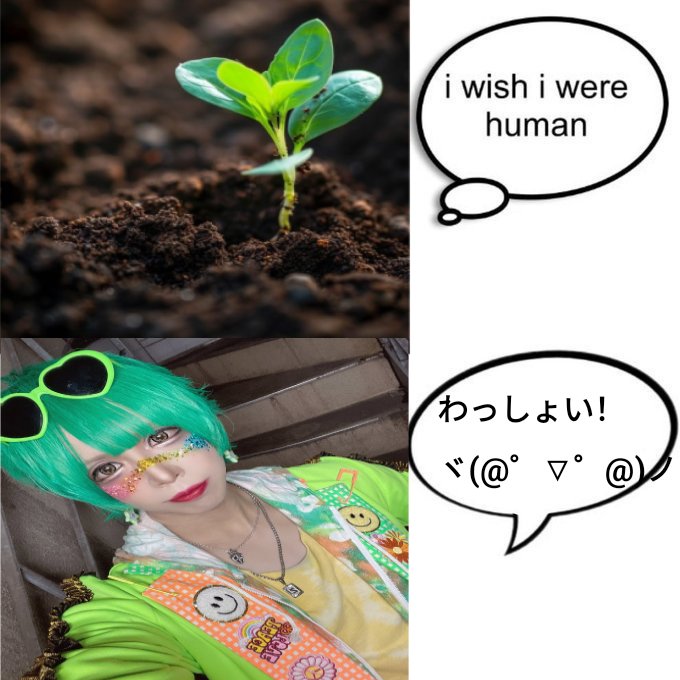 (≧∇≦)/ tweet media