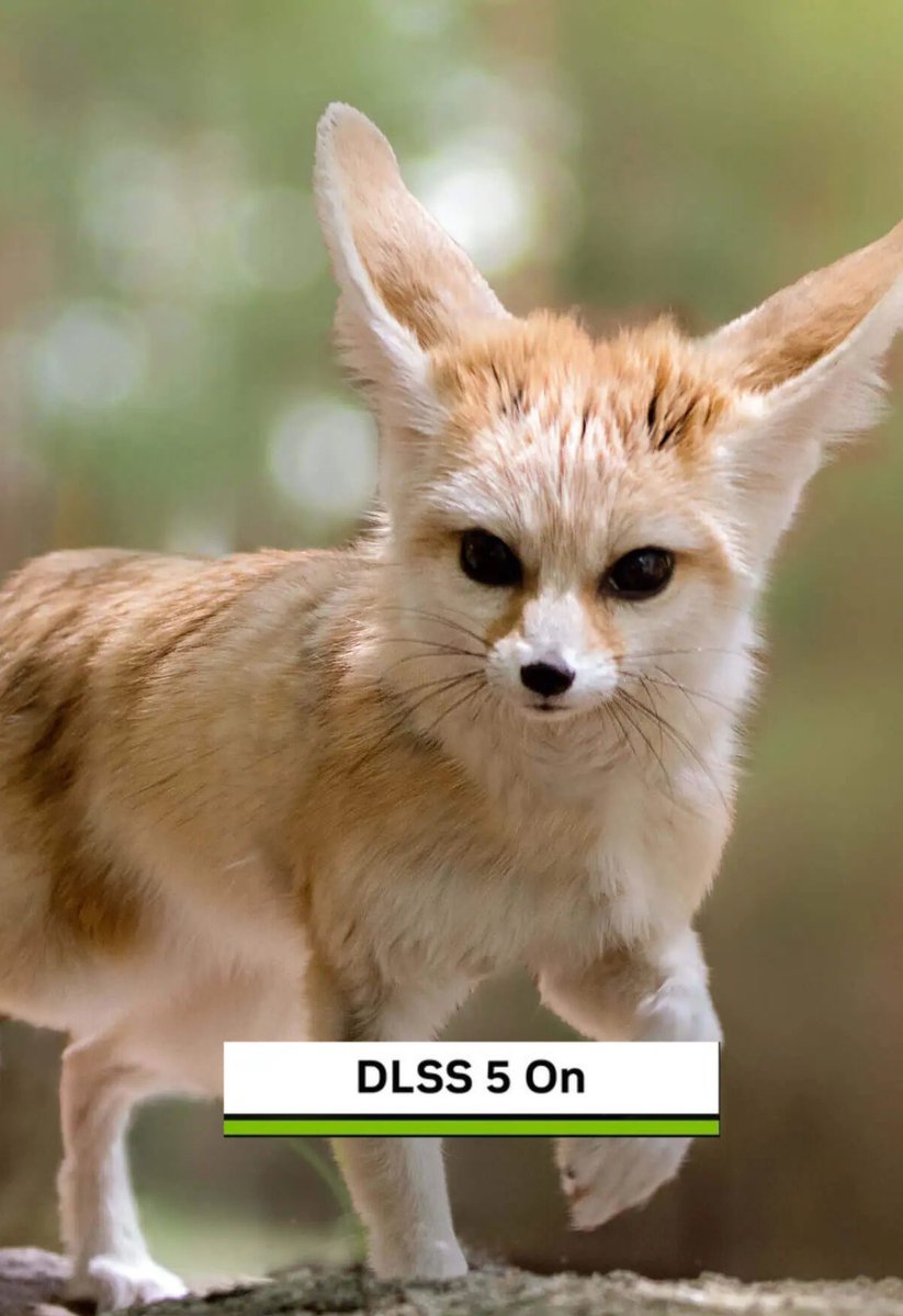 FennyFen_1 tweet media