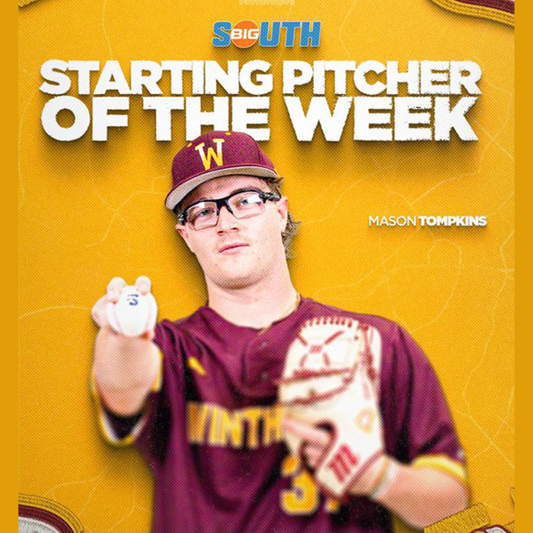 Valley Baseball League tweet media