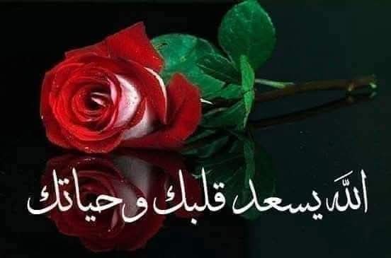 MoftahAlsaity's tweet photo. @amleali11 https://t.co/OuBUy9QUyn