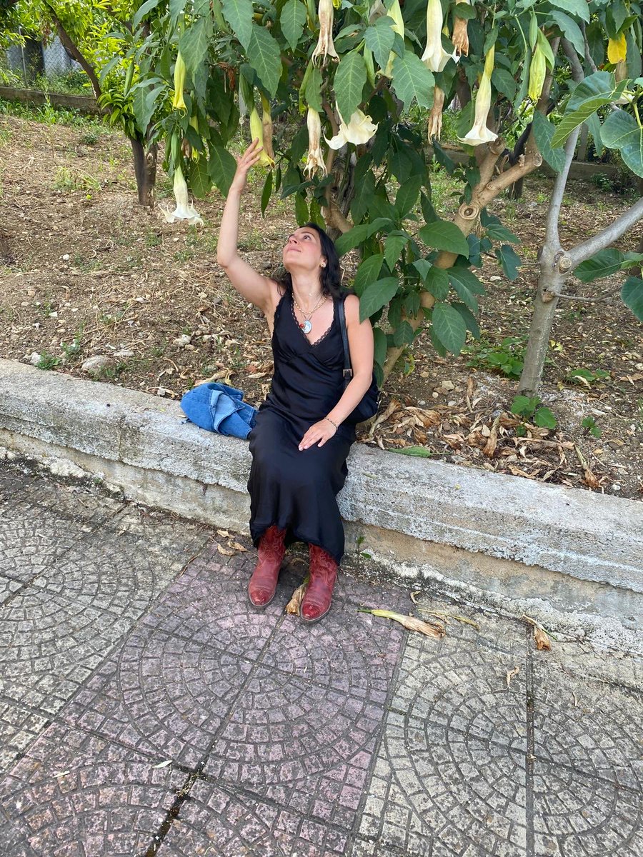 Angelic.Pomegranate tweet media