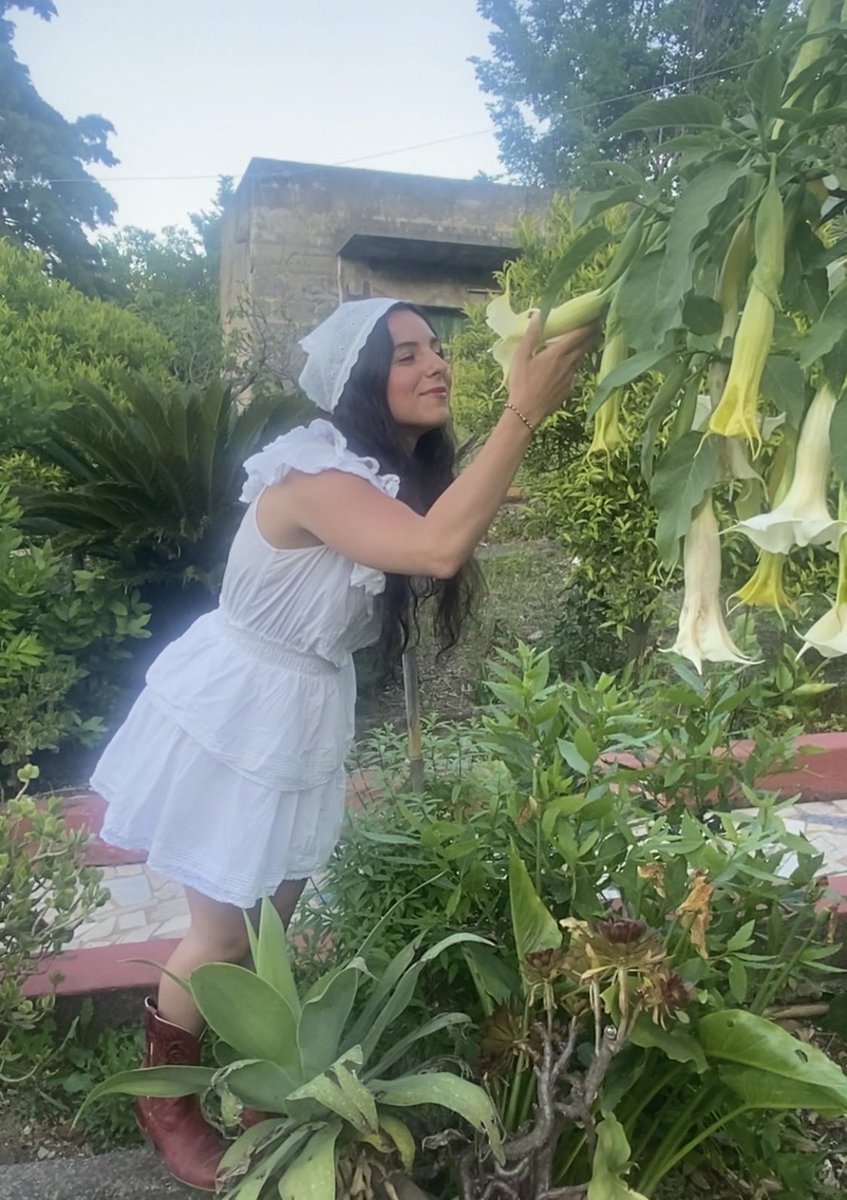 Angelic.Pomegranate tweet media