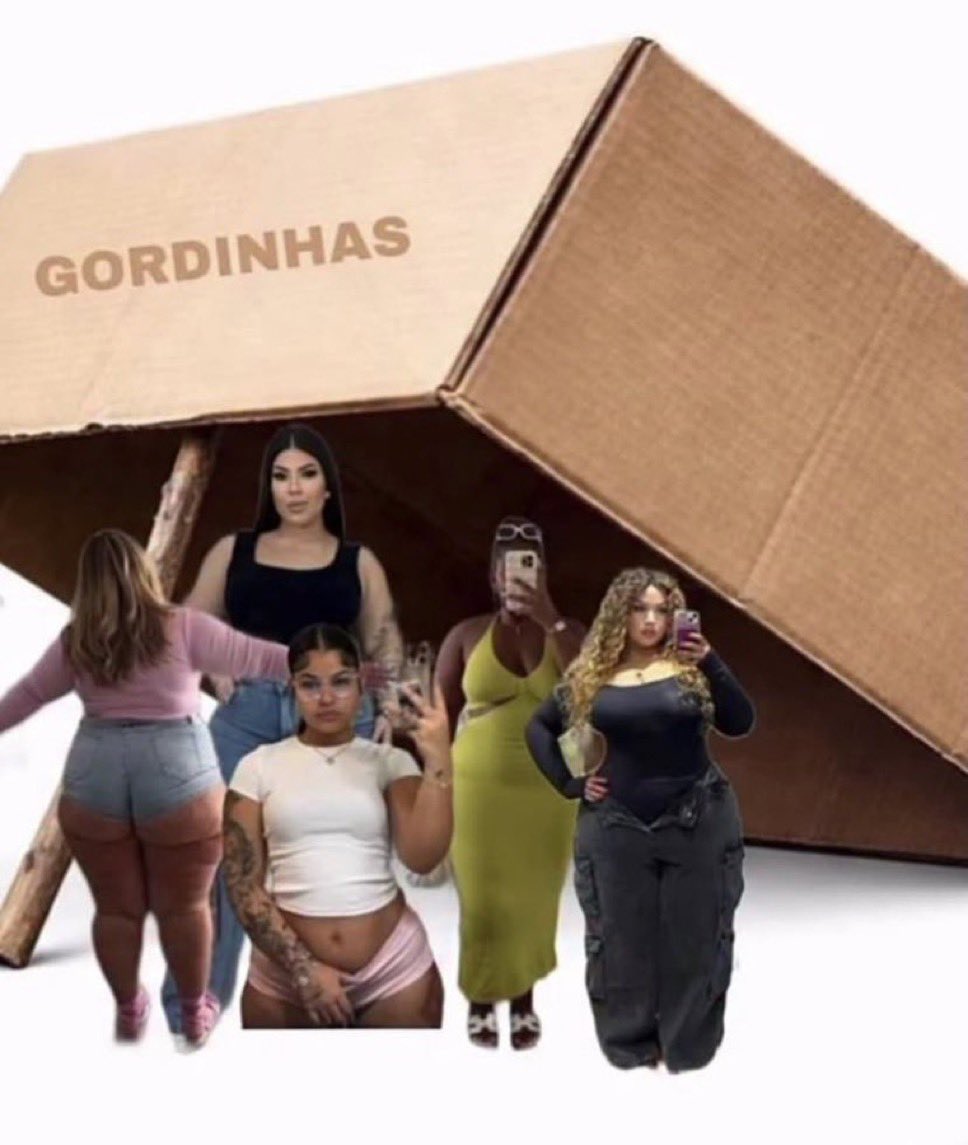 Todo dia uma gordinha tweet media