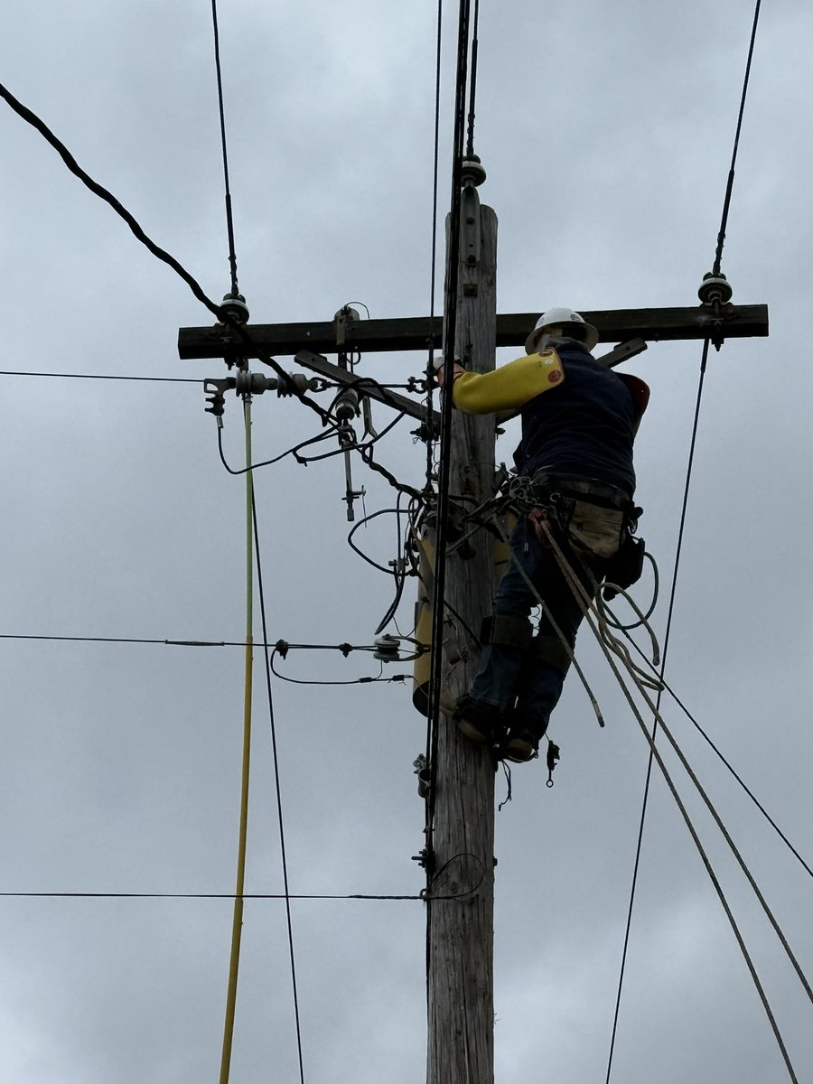 Warren RECC tweet media