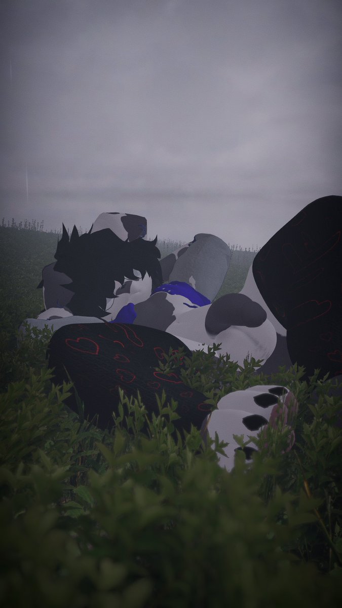 Benve's corner🔞 tweet media