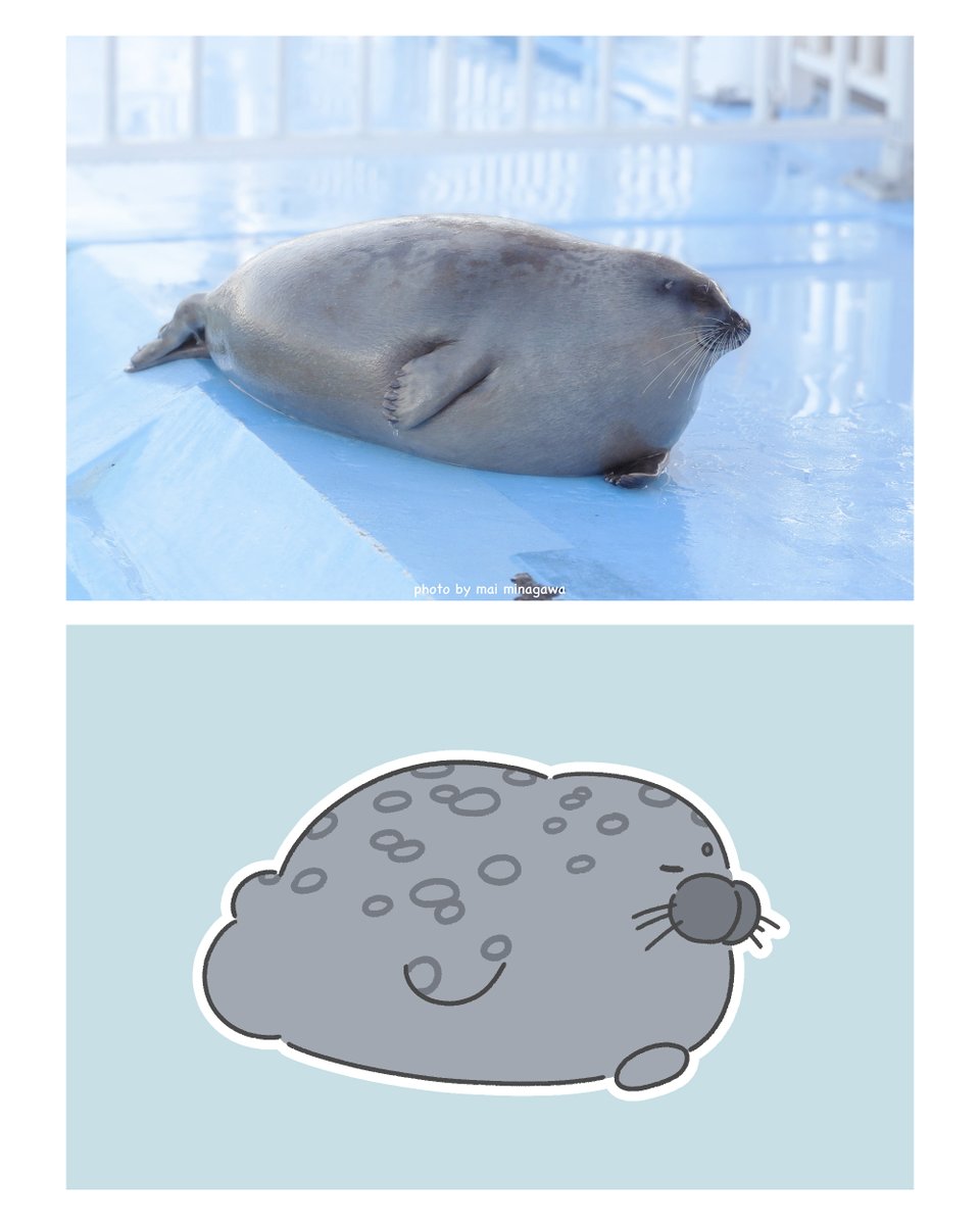 もちたぷあざらし tweet media