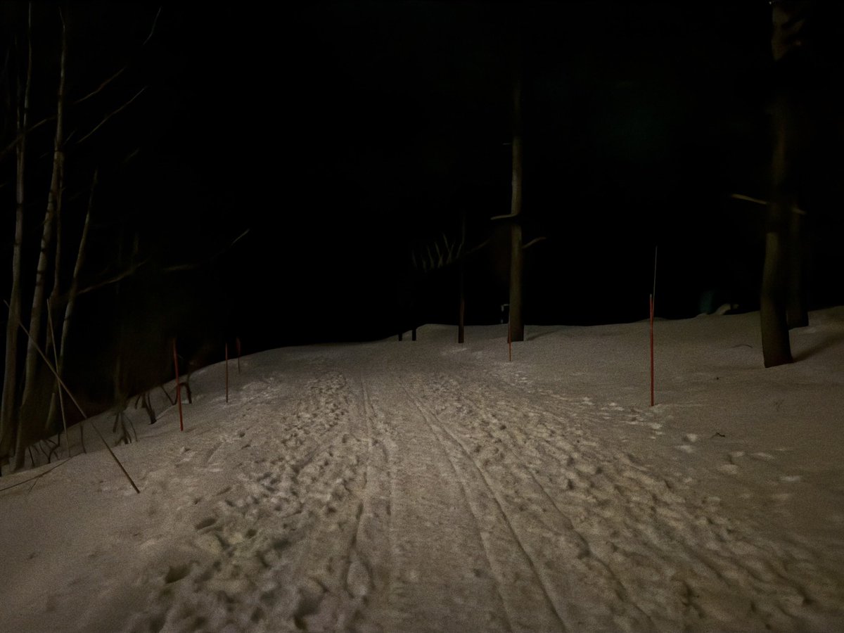 david Loh tweet media