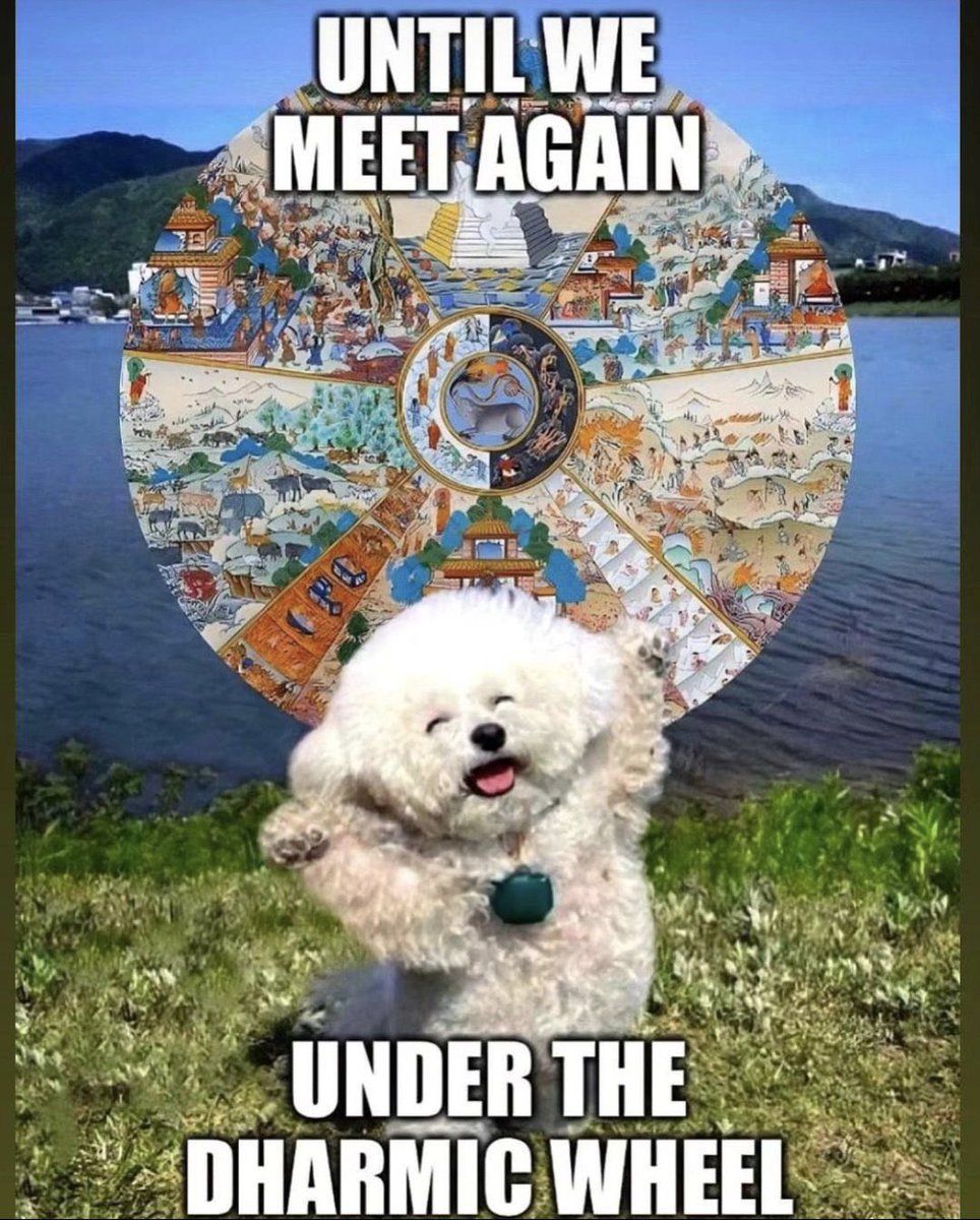 mhisa maya tweet media