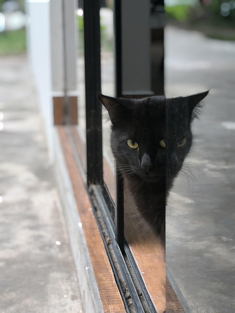 Andy Delgado tweet media