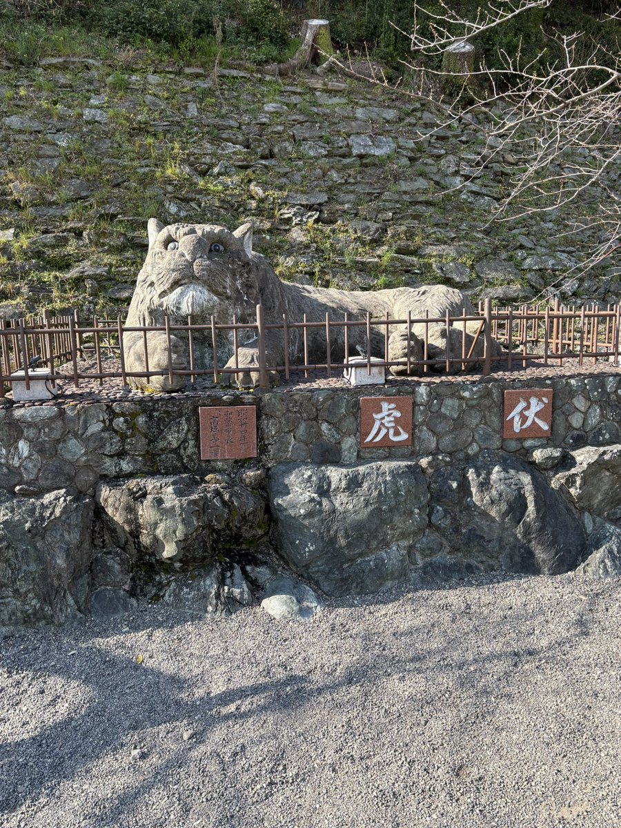 和歌山城にあった虎伏❗️
昨日の虎丸十段は力強かった‼️