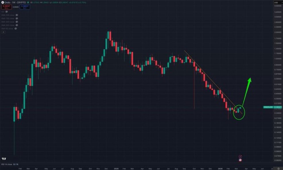 wildly bullish tweet media