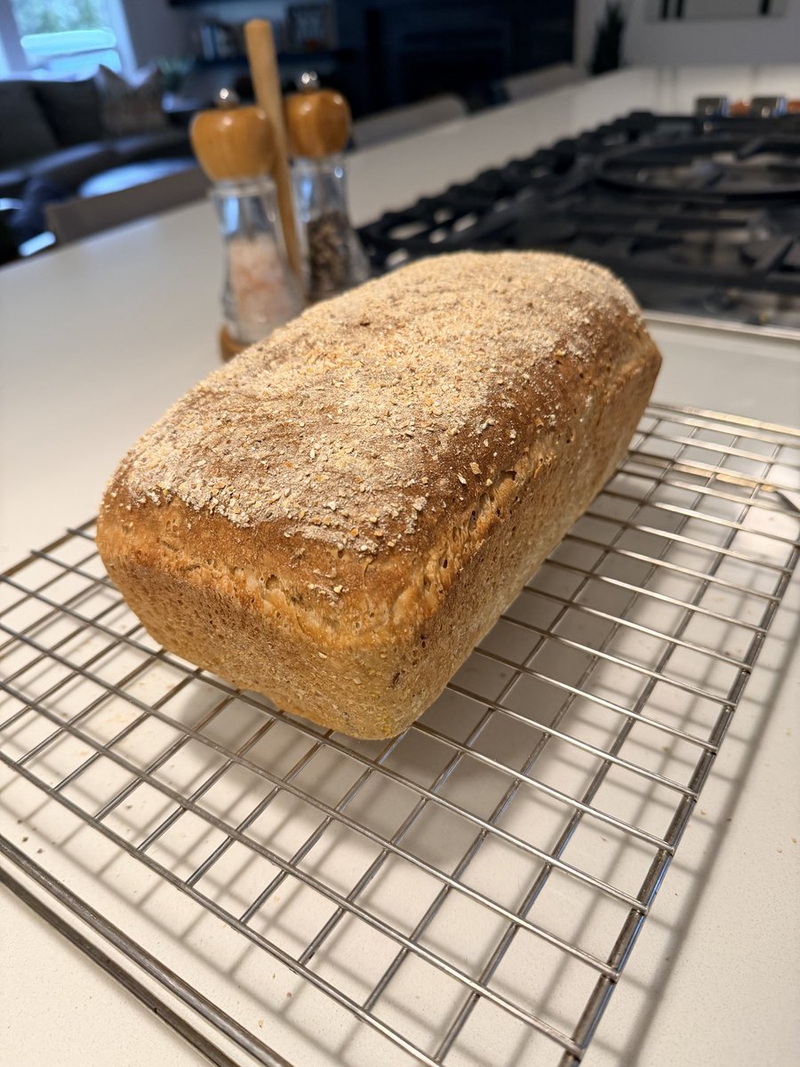 It’s Raining 🍁s tweet media