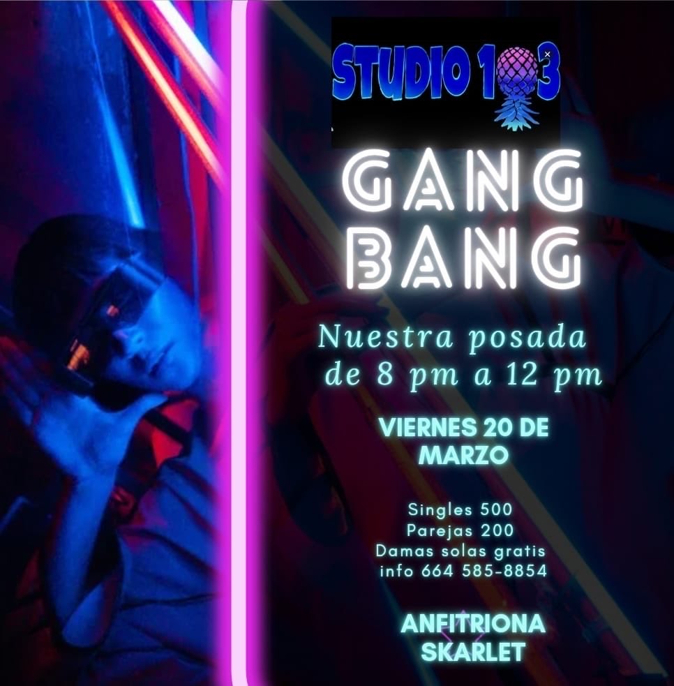 Studio103 tweet media