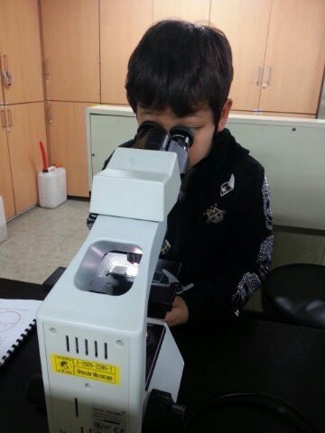 🐶🌜 tweet media